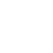 Import Icon